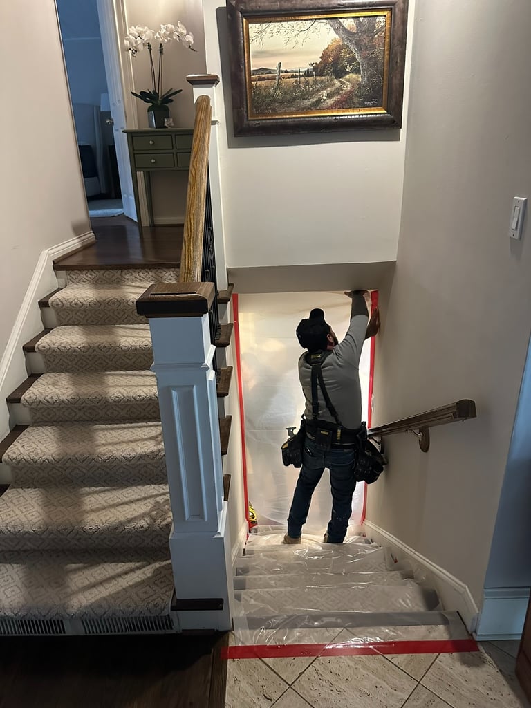 mold restoration and removal