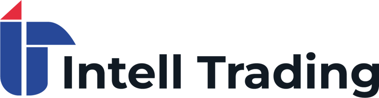NexaSfera logo