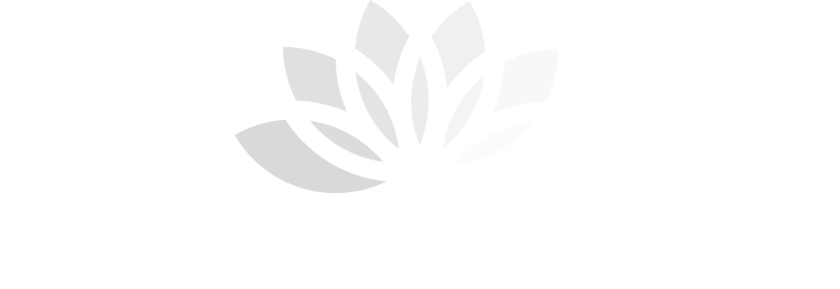 Metaphysical New York logo