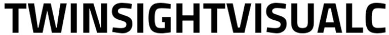Twinsight logo