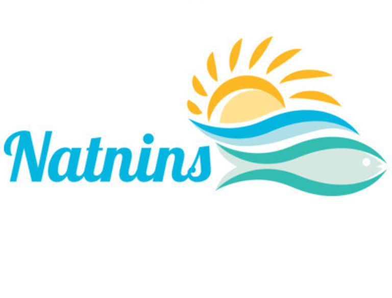Natnins logo