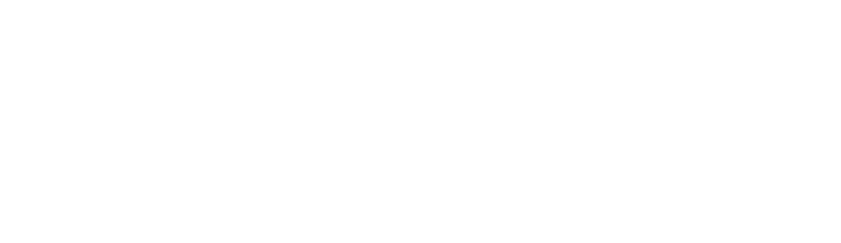 Vital Rugs and Carpet logo