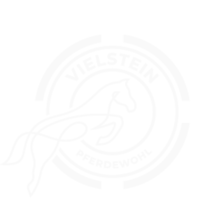 Vielstein Pferdewohl logo