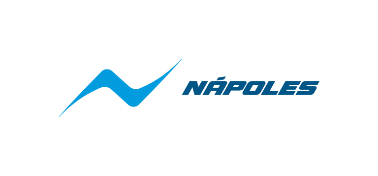 NATACIÓN NÁPOLES logo