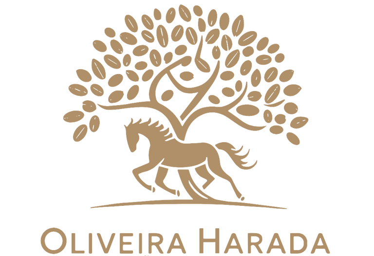 Oliveira Harada Participações e Desenvolvimento logo