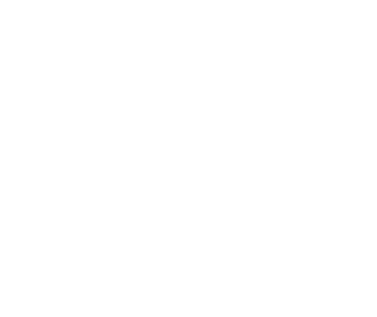 Voinic group, MB logo