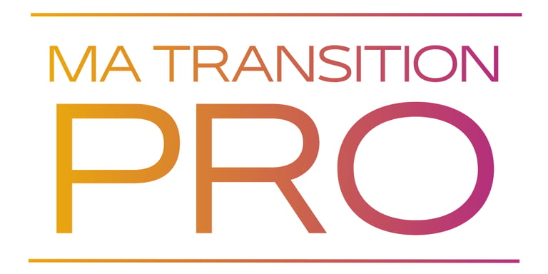 MaTransitionPro logo