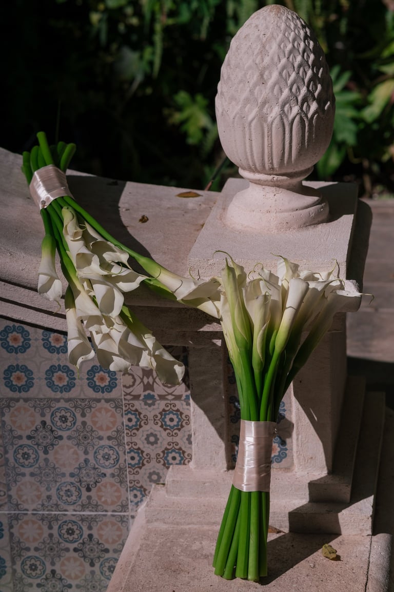 fotografo de bodas Mérida Yucatán, wedding photographer Mérida, destination wedding photographer in Mérida Yucatán