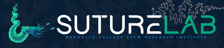 Prehistoric Horizons Institute logo