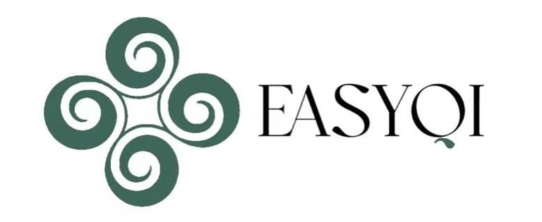 EasyQi logo