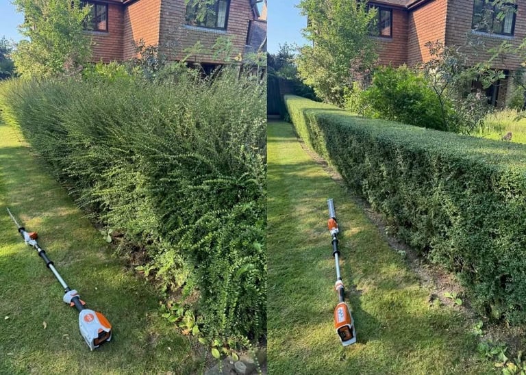 split before and after picture of a hedge trimmed