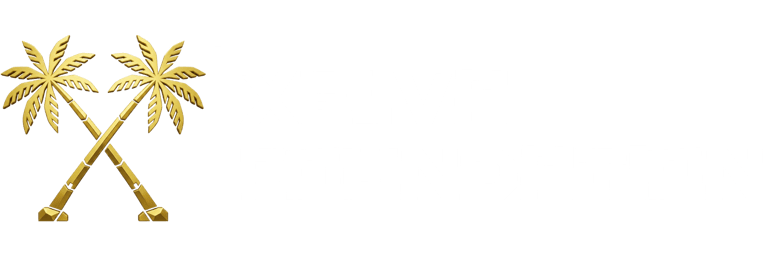 XELVA COIN logo