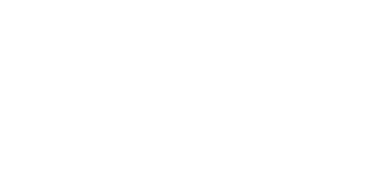 Nisah Homes logo