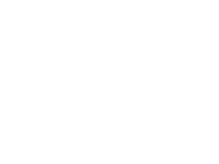 Beyond Impala Avenue logo