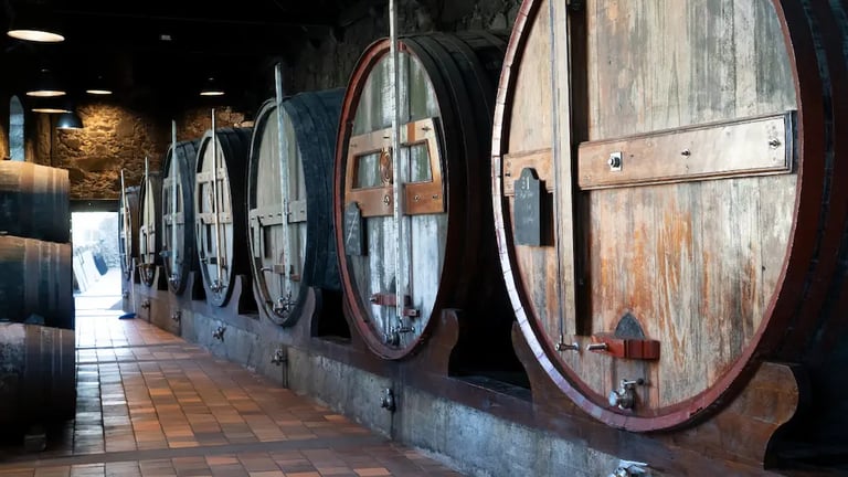 Traditional Tuscan wine cellar with giant oak barrels used for aging Chianti wines during a vineyard tour in Tuscany.