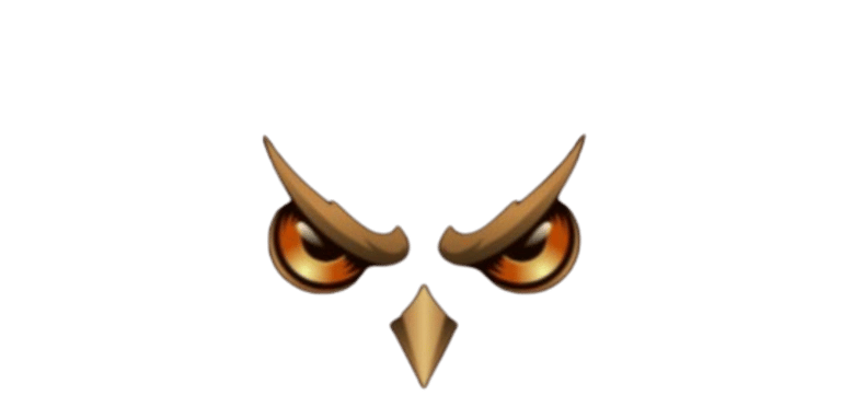 IDN Men's Agency logo