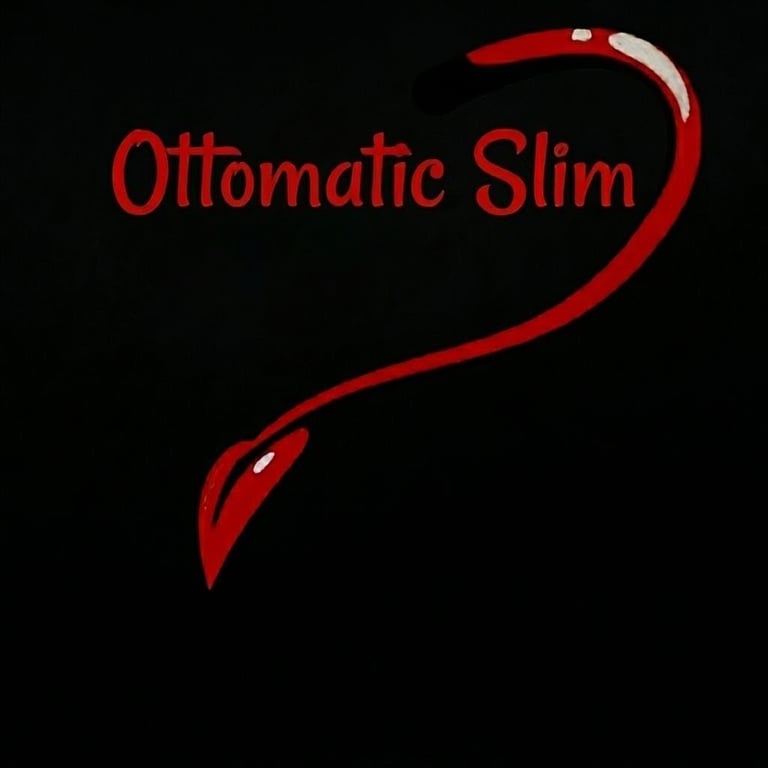 Ottomatic Slim logo