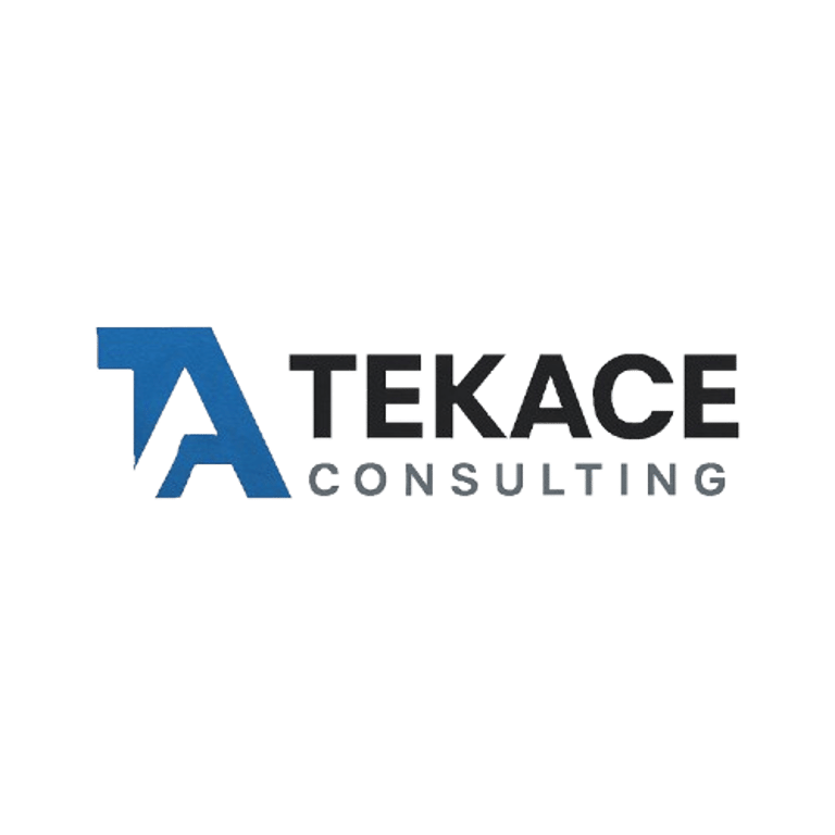 TekAce Consulting logo
