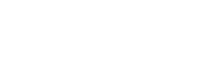 brikli logo