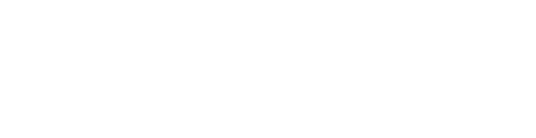 Lisure Technology Co. logo