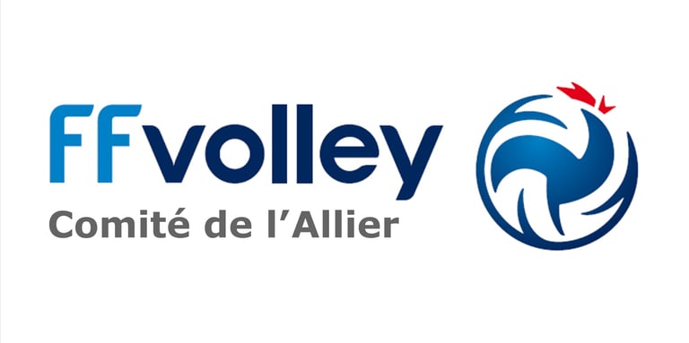 Comité Départemental de Volley-Ball de l'Allier - 03 logo