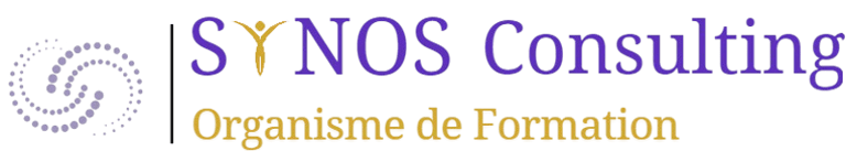 SYNOS Consulting logo