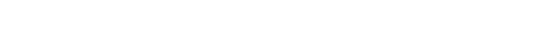 Leonardo Ruggiero logo