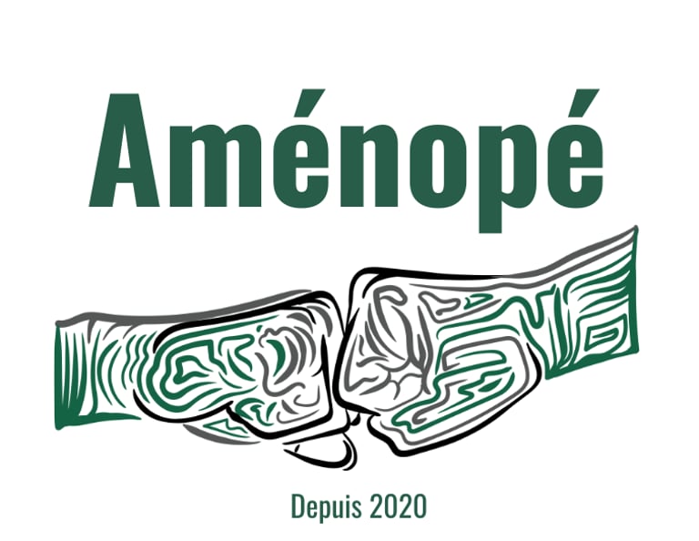 Aménopé Togo logo