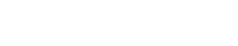 Supreme Transit Experiences logo