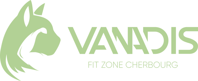 Vanadis FIT Zone logo