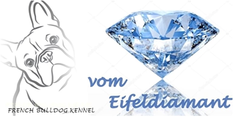 Kleine Hobbyzucht der Französischen Bulldogge logo