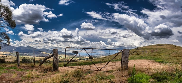 Playles Hill Lookout gate