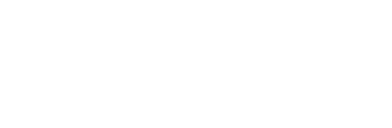 Werushcka Andrade Beauty Kosmetik logo