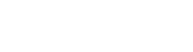 Spot & Felix logo