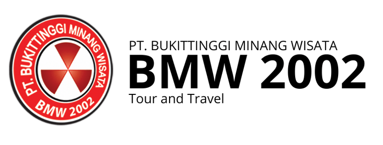 PT BMW 2002 Tour & Travel logo