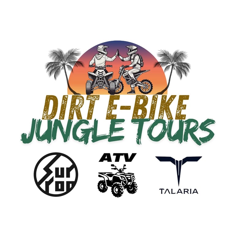 DIRT e-BIKE logo