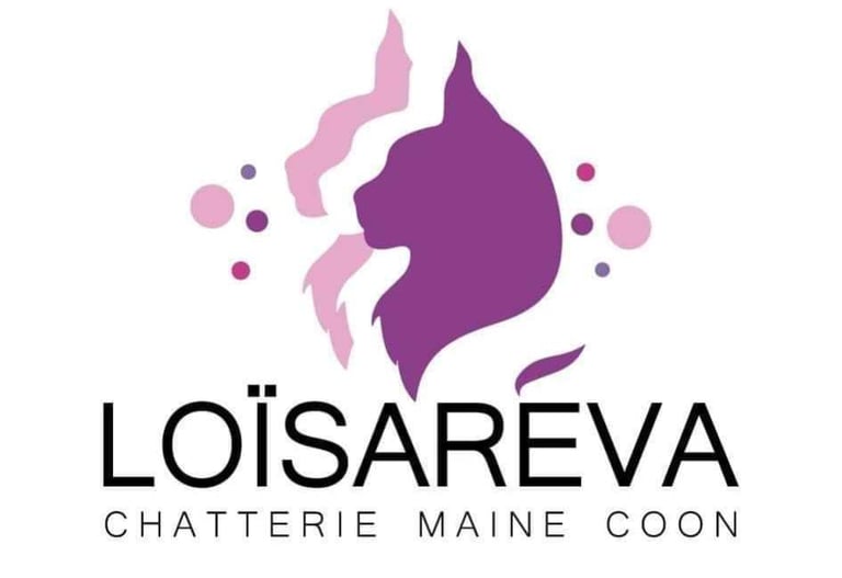 LOISAREVA logo