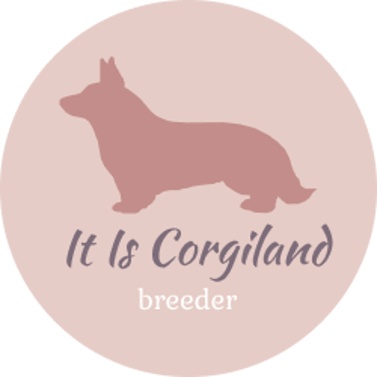 it is corgiland logo