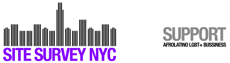 SITE SURVEY NYC logo