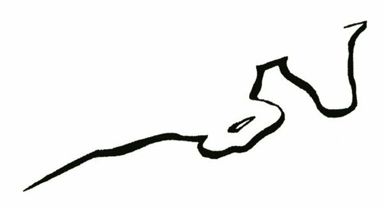 Tarwin Farm logo