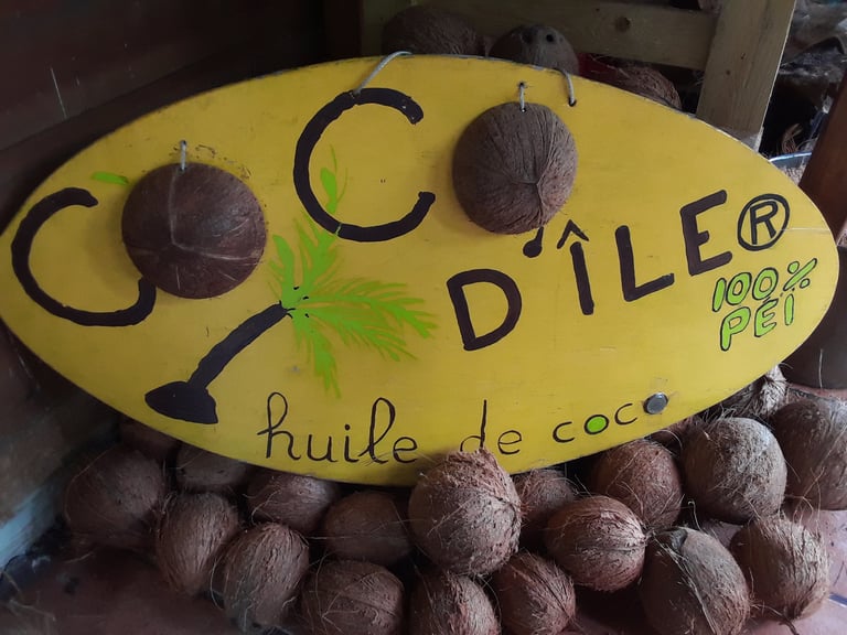 COCO D'ÎLE logo