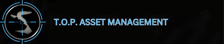 THE OPTIONS PLUG logo