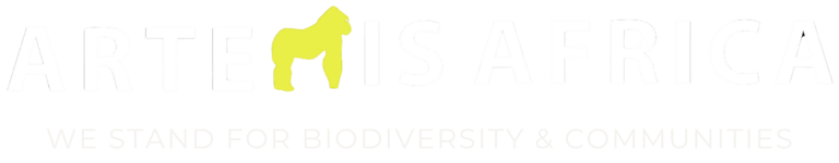 Artemis Africa Ltd logo