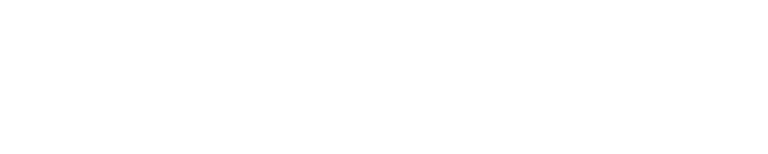 Ruy Mercurio logo