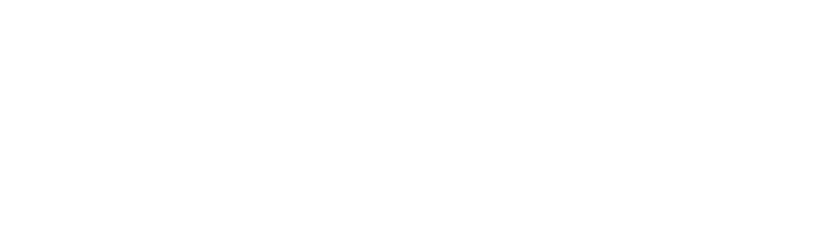 Angelzoom logo