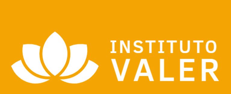 Instituto Valer logo