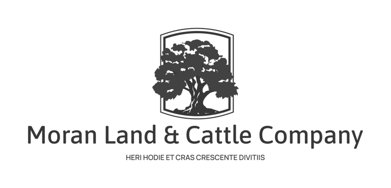 Moran Land & Cattle Company logo