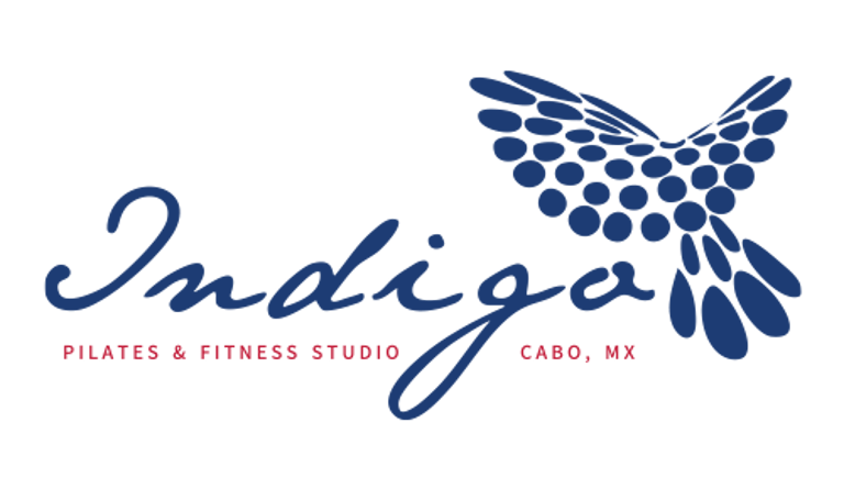 Indigo Pilates and Fitness Studio logo