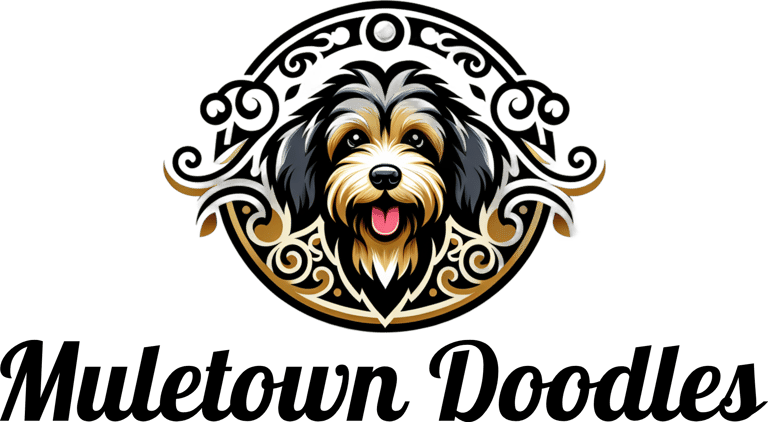 Mule Town Doodles logo