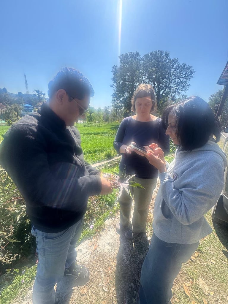 How Panchakarma Detox Supports Recovery in Chronic Autoimmune Conditions